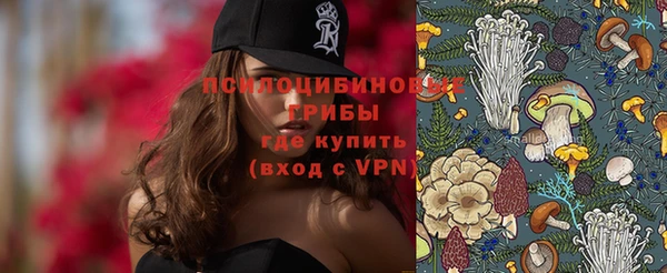 прущие крисы Армянск